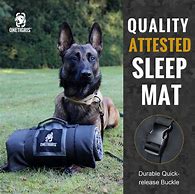 Image result for Dog Mat for Sofa