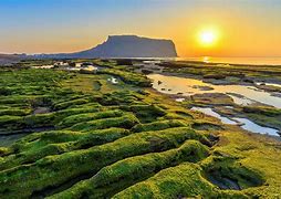 Image result for Jeju Island Tourist Spot