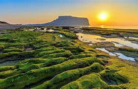 Image result for Island of Jeju