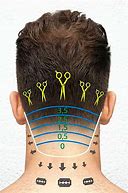 Image result for Clipper 8 Haircut