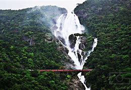 Image result for India Goa Waterfall