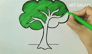 Image result for Rimu Tree Drawing