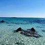 Image result for Chania Pink Beach