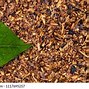 Image result for Tobacco Images