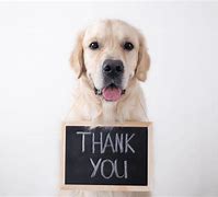 Image result for Thank You Piggies