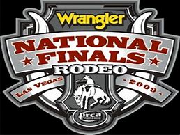 Image result for NFR Winged Horse