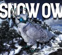 Image result for Mega Snow Owl