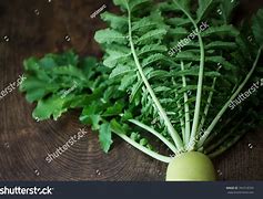 Image result for Daikon Leaf