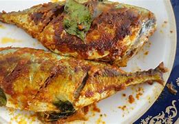 Image result for Charan Malayam Fish