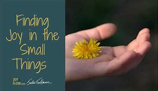 Image result for Finding Joy in Small Things Wirh Sayings