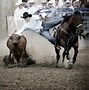 Image result for Rodeo Banners