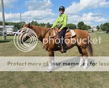 Image result for 7s Horse Riding Jeans