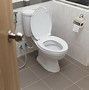 Image result for Toilet Seat Tabs