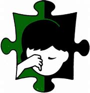 Image result for Autism Puzzle Piece Logo