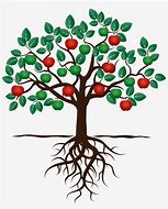 Image result for Fruit Tree with Roots Clip Art