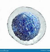 Image result for Cell in Computer