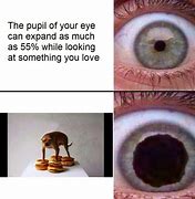 Image result for Eye Anatomy Meme