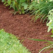 Image result for Dark Fir Mulch