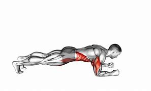 Image result for Dynamic Plank Exercise