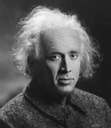 Image result for Nicholas Cage Einstein Memes