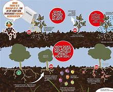 Image result for Soil pH Map UK