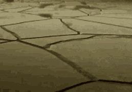 Image result for My Land GIF