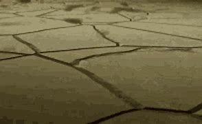 Image result for Funny GIF of Land