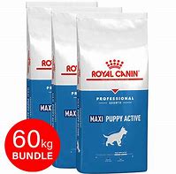 Image result for Royal Canin Maxi Puppy