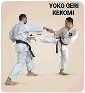 Image result for Yoko Geri Karate