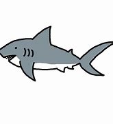 Image result for Bull Shark Clip Art