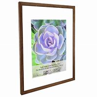 Image result for Float Frame 16 X 20