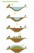 Image result for Bottom of Bog Diagram