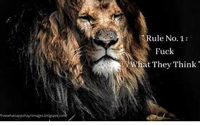 Image result for Motivational Lion Quotes Wallpaper