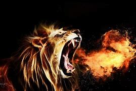 Image result for Roaring Angry Lion Wallpaper