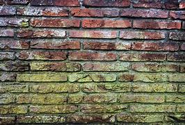 Image result for Brick Mold