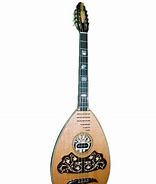 Image result for Lute Body