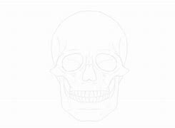 Image result for Sugar Skull Draw