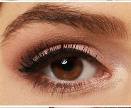 Image result for Best Makeup for Brown Eyes