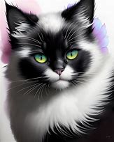 Image result for White Cat Head