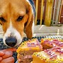 Image result for Cheer Up Dog Cake