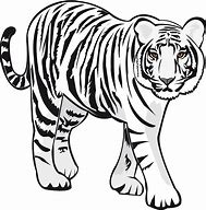 Image result for White Tiger Clip Art