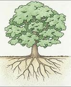 Image result for Tree and Roots Diagram