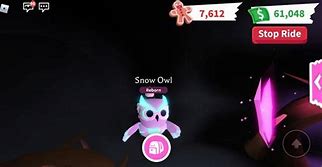 Image result for NFR Snow Owl