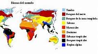 Image result for Biomas De La Tierra