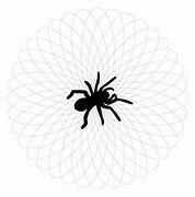 Image result for Spider Web Vector