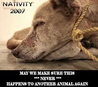 Image result for Dog Starving Artisit