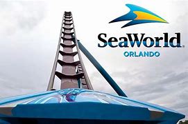 Image result for Meko Rideat SeaWorld