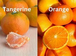 Image result for Orange Tangerine Hybrid