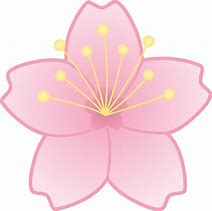 Image result for Cherry Blossom Single Flower Clip Art