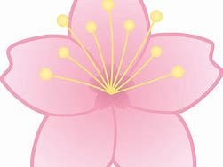 Image result for Free Print Cherry Blossom Clip Art